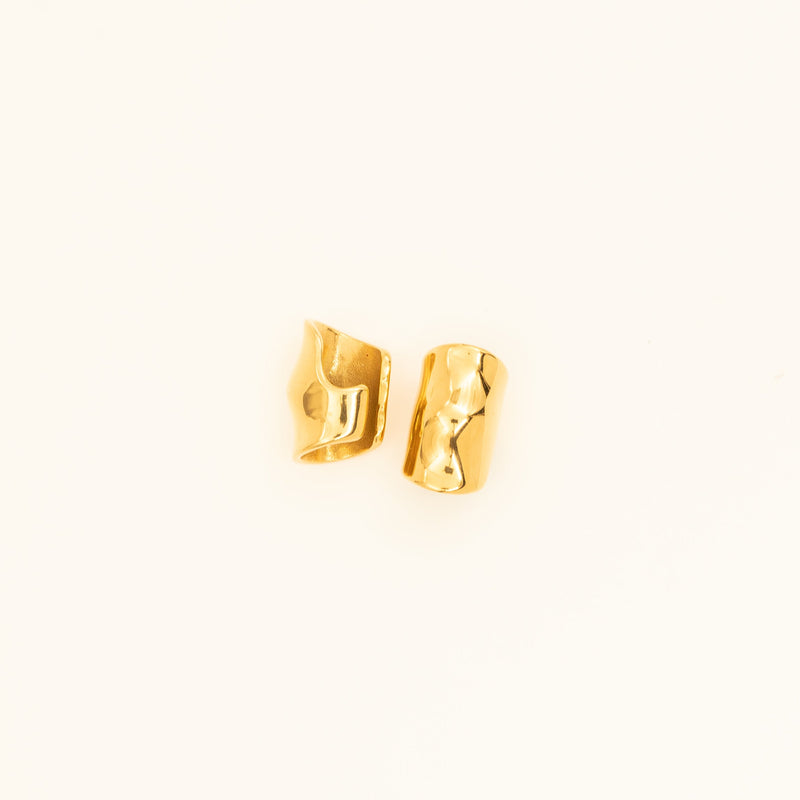 Gold Ear Clip