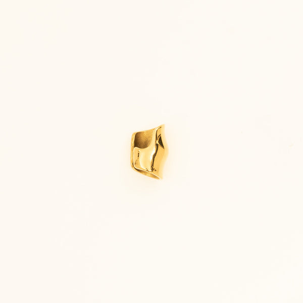 Gold Ear Clip