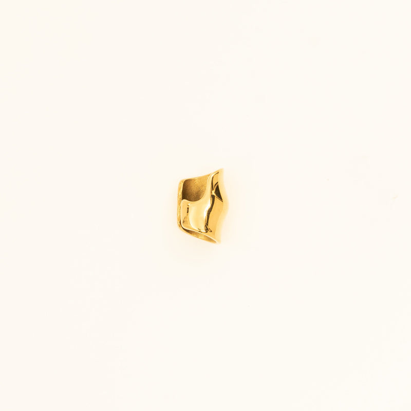 Gold Ear Clip